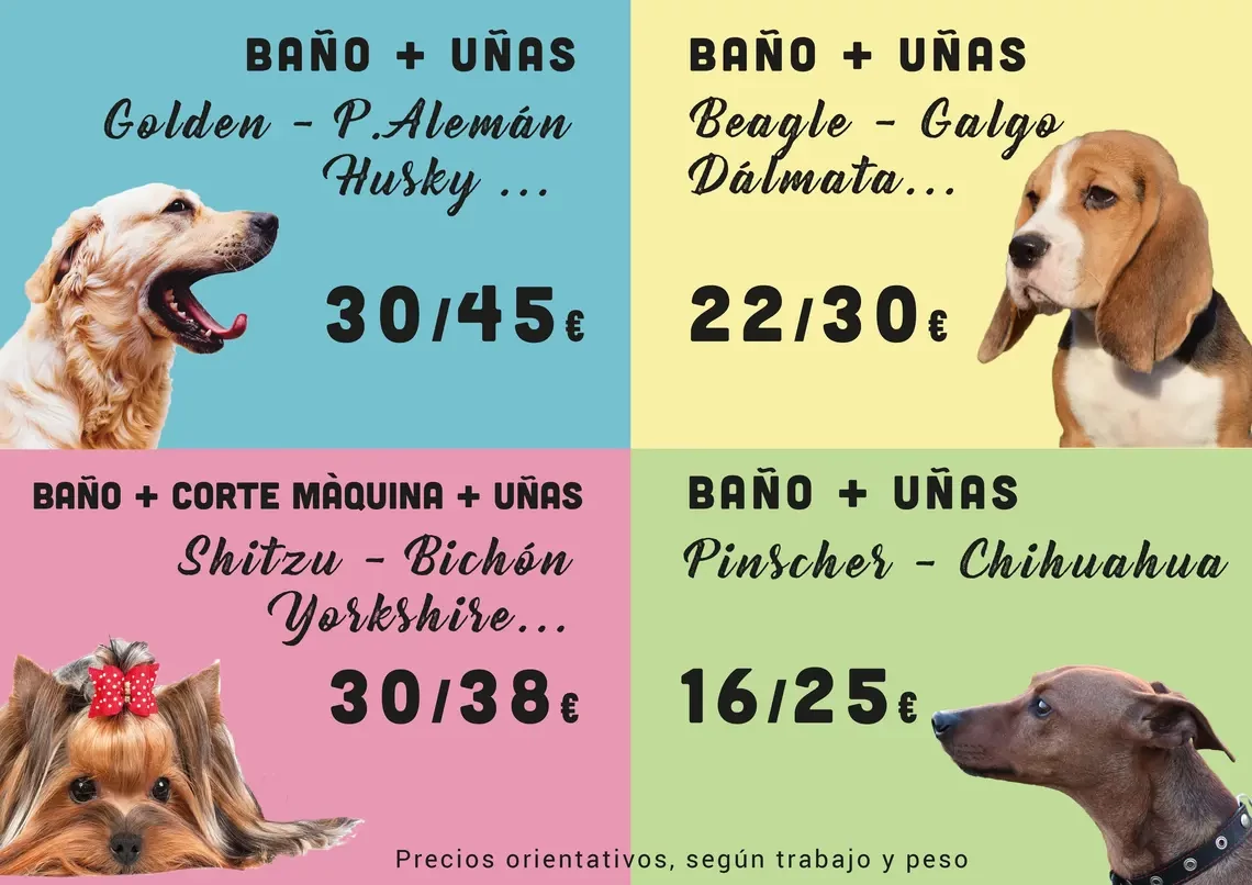 Banner de precios de peluqueria canina en terrassa